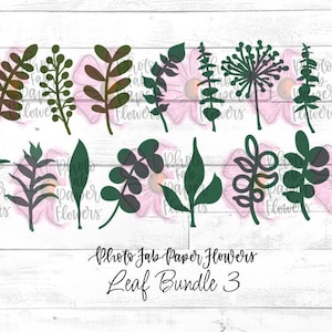 Leaf Bundle 3 Digital File | SVG | PNG | svg Leaf | Cricut Cutting Files  | Png Leaves |  Leaf Template | Silhouette | Leaves