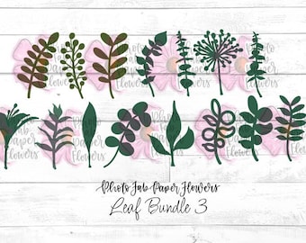 Pacchetto foglia 3 File digitale / SVG / PNG / SVG Foglia / File di taglio Cricut / Foglie Png / Modello foglia / Silhouette / Foglie