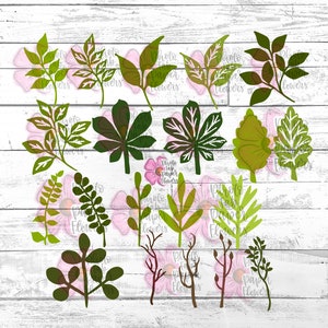 Leaf Bundle 2 Digital File | SVG | PNG | DXF | svg Leaf | Cricut Cutting Files  | Png Leaves |  Leaf Template | Silhouette | Leaves