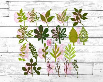 Leaf Bundle 2 File digitale / SVG / PNG / DXF / svg Leaf / Cricut Cutting Files / Png Leaves / Leaf Template / Silhouette / Leaves