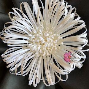 May include: A white paper flower with a layered, ruffled design. The flower is made from strips of paper that are curled and twisted to create a 3D effect. The flower is on a black background. The text "Photo Paper Flowers" is visible in the lower right corner of the image.