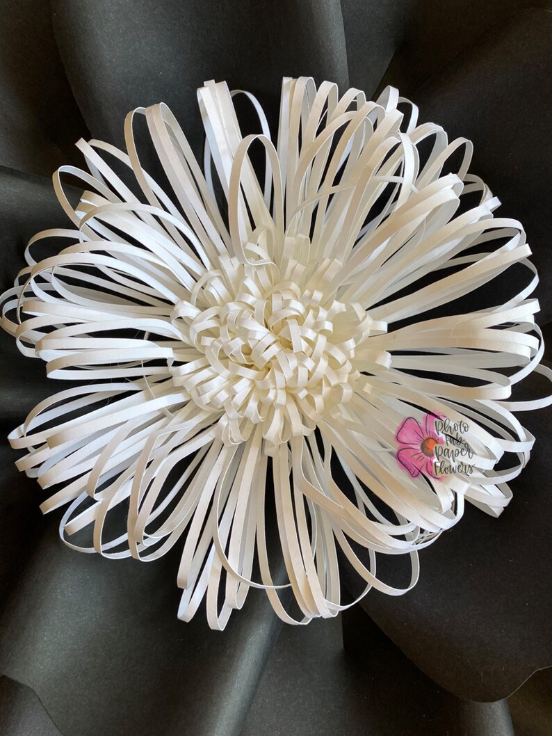 May include: A white paper flower with a layered, ruffled design. The flower is made from strips of paper that are curled and twisted to create a 3D effect. The flower is on a black background. The text "Photo Paper Flowers" is visible in the lower right corner of the image.