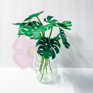 Monstera deliciosa planta de queso suizo / Archivo Digital / SVG / PNG / dxf / Cricut / Hojas / rama / Plantilla de hoja / Silueta / planta