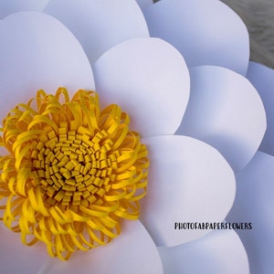 Paper Flower Template 1 Digital File | PDF/SVG/PNG | paper flower backdrop | giant paper flower | large paper flowers