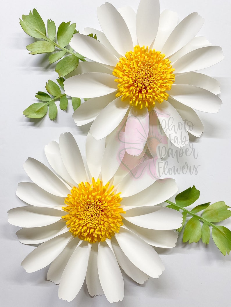 May include: Two large white paper daisies with yellow centers and green leaves. The daisies are layered on top of each other.