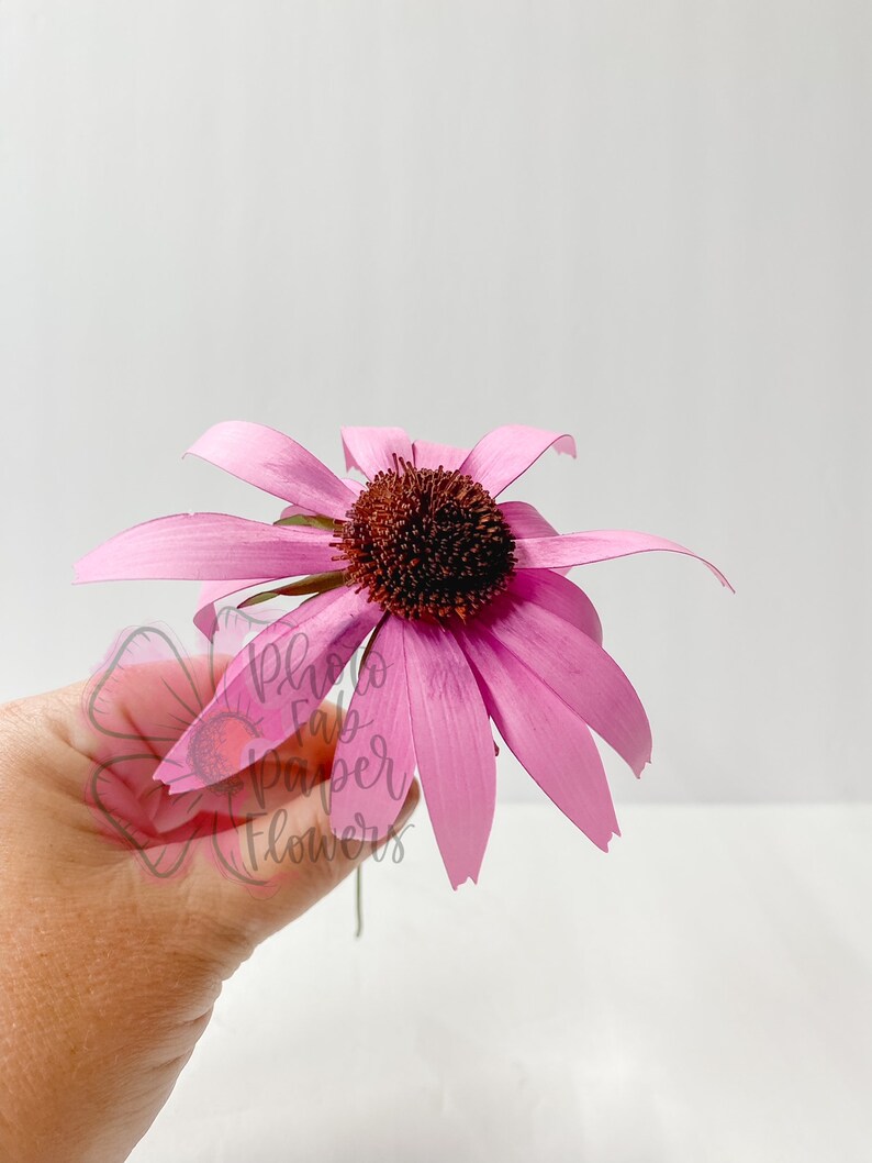 K&ouml;nnte beinhalten: Eine einzelne rosa Papierblume mit brauner Mitte. Die Blume wird in einer Hand gehalten, im Hintergrund ist der Text "Photo Fab Paper Flowers" zu sehen.