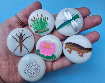 Pond wildlife painted pebbles, Early years learning, nature hunt story stones