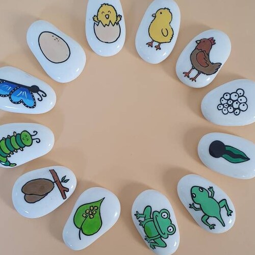 Ladybird counting stones story stones eyfs resources counting resources