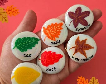 Autumn leaves Painted Pebble Set . Educational Learning.