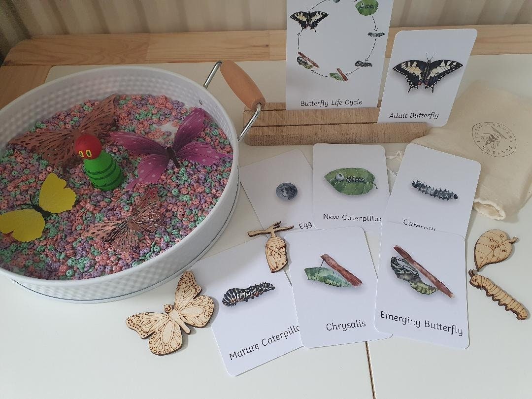 Butterfly Life Cycle Flashcards Etsy UK