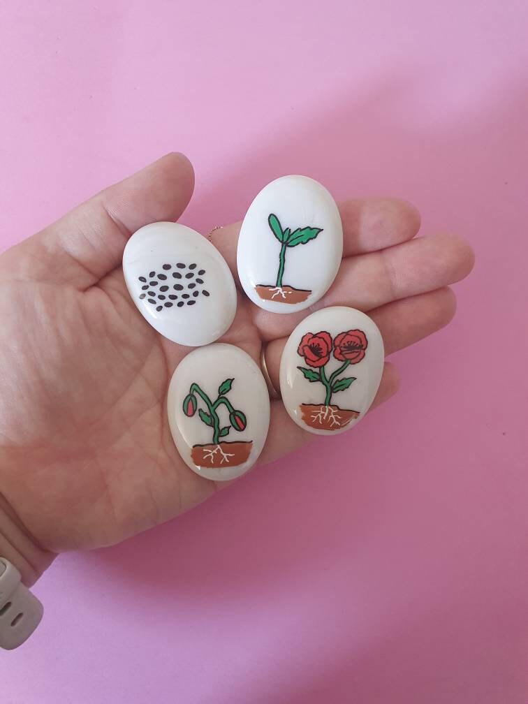 Poppy Life Poppy Life Cycle Story Stones - Etsy UK