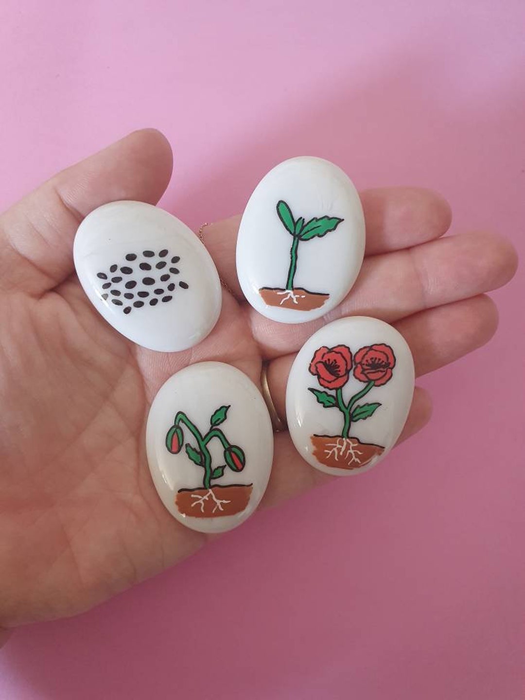 Poppy Life Poppy Life Cycle Painted Pebble Story Stones - Etsy UK