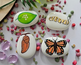 Butterfly Life Cycle Painted Pebbles Story Stones, Nature Inspired