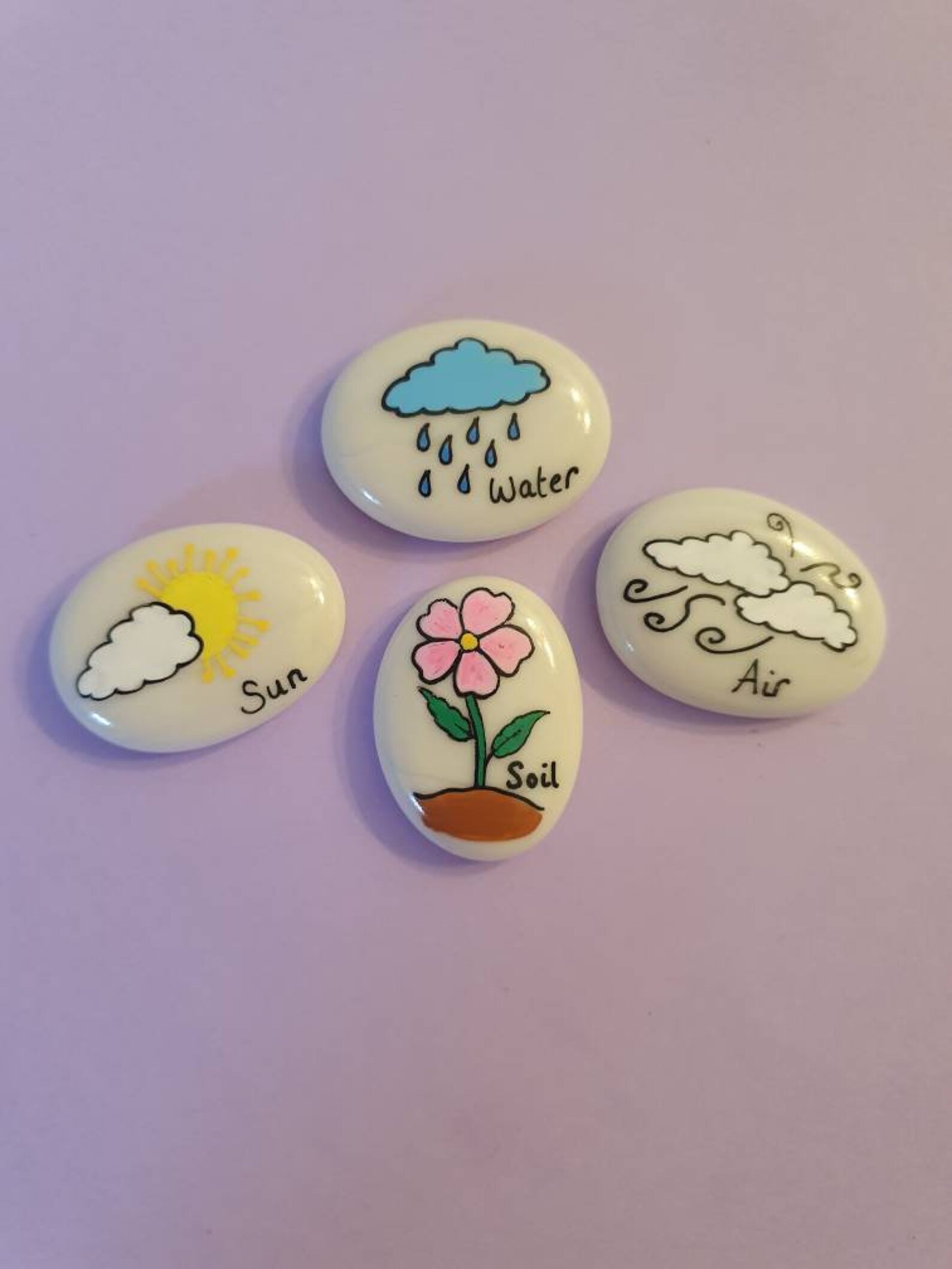 What Do Flowers Need to Grow Story Stones . Plants and Etsy
