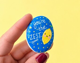 Handpainted funny quirky pebble gift. You're the zest.