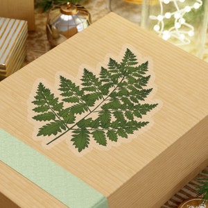 Autocollant Die Cut Fern Leaf Green
