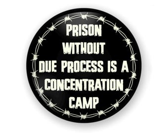 Large Due Process Button or Magnet: Immigration Rights, Anti Trump