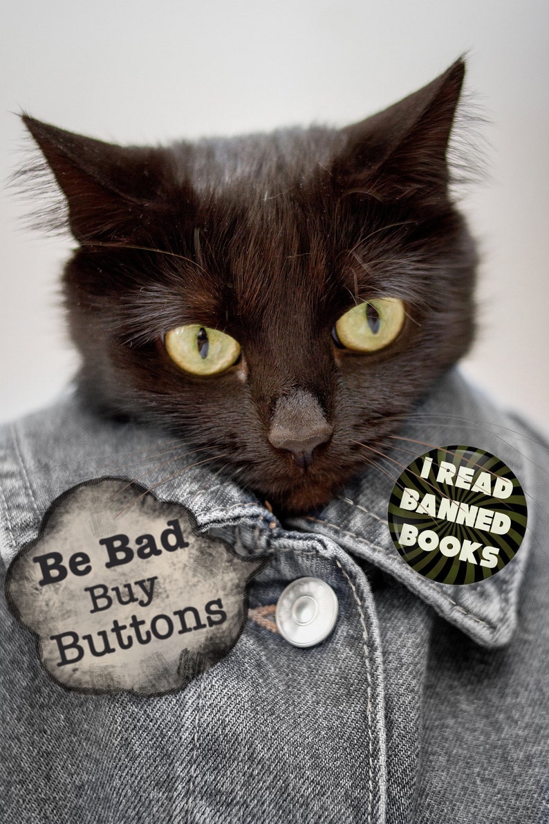 I Read Banned Books Button or Magnet, Freedom of Speech Pin, 1st Amendment, Stop Book Banning, Protect Freedom of Speech, Ban Censorship Bild 9