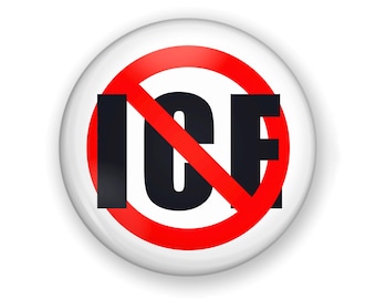 Abolish Ice Button and Magnet: Protect Immigrants Protest Pin
