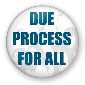 May include: A white button with the text "DUE PROCESS FOR ALL" in teal. The button has a subtle, light gray background pattern. The text is in a bold, sans-serif font.