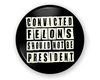 Large Size Diversity Button or Magnet, LGBTQ Rights Button, BLM Button, Protect Our Rights, Trump is a Dictator, Vote Blue,Stop Project 2025