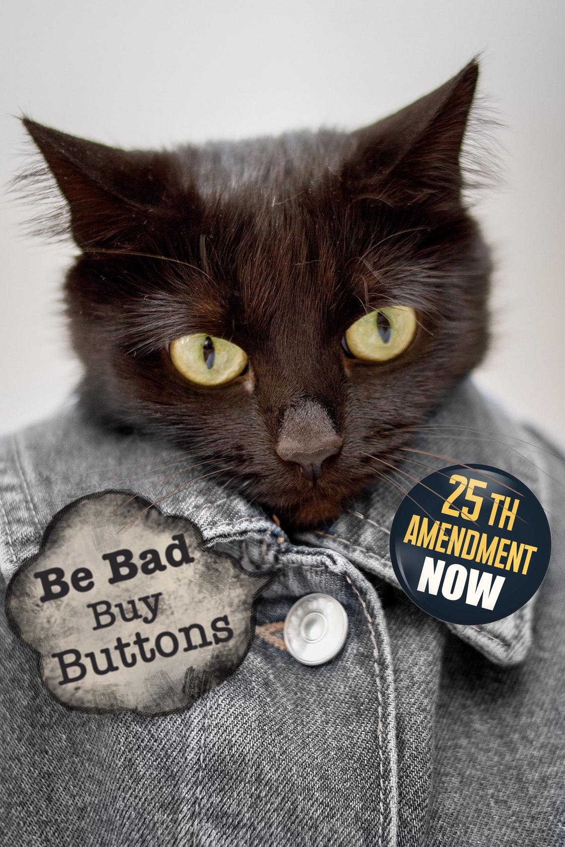 25th Amendment NOW Button or Magnet: Protest Pin RESIST - Etsy