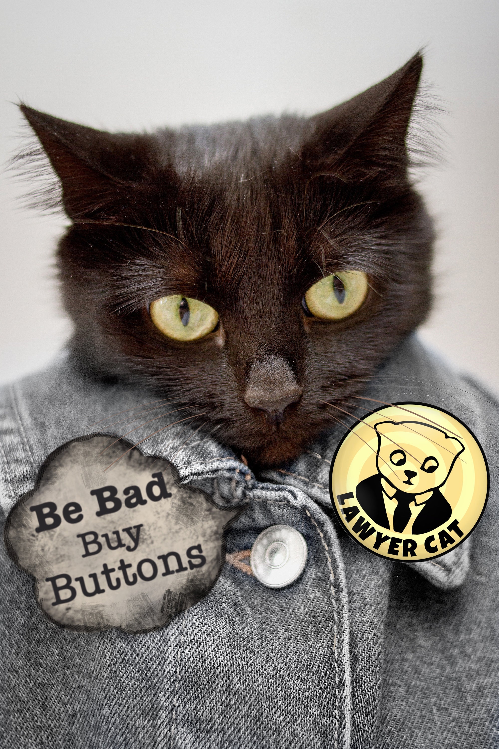 Lawyer Cat Button or Lawyer Cat Pin Lawyer Cat Etsy