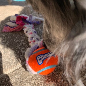 Minky Tug Toy w/ Ball