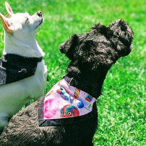 Puppy Flair Bandana Birthday Girl