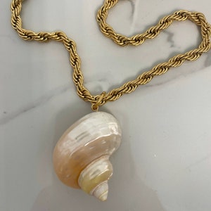 May include: A gold rope chain necklace with a large seashell pendant. The seashell is white with brown and yellow stripes.