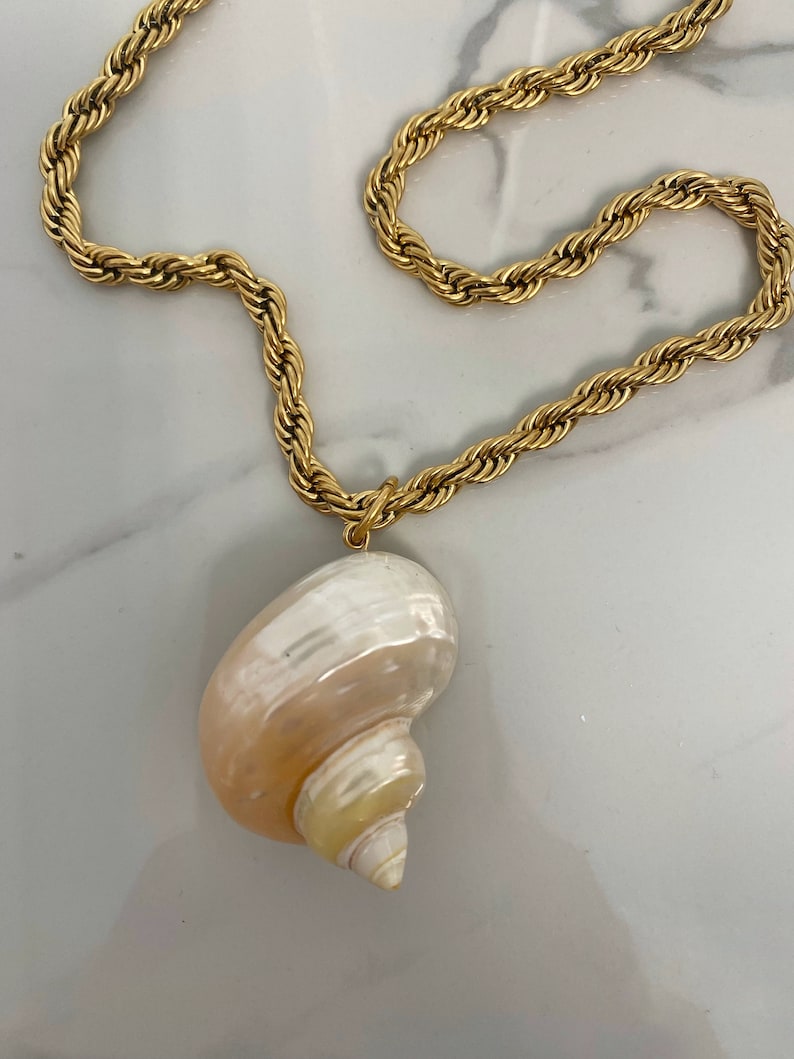 May include: A gold rope chain necklace with a large seashell pendant. The seashell is white with brown and yellow stripes.