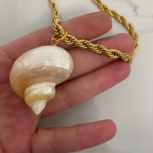 May include: A gold rope chain necklace with a large, white seashell pendant. The seashell has a spiral shape and a pearly finish.