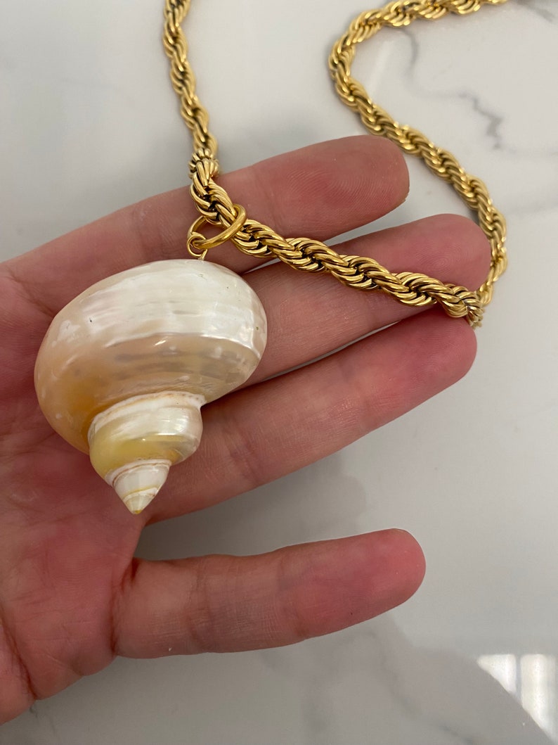 May include: A gold rope chain necklace with a large, white seashell pendant. The seashell has a spiral shape and a pearly finish.