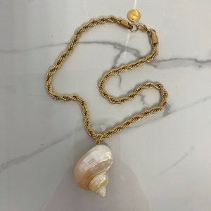 May include: A gold chain necklace with a large seashell pendant. The chain is a rope style and the seashell is a light pink and white color.