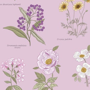 "Lewis und Irene ""Botanischer Garten"""