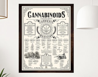 18 X 24 Inch Cannabinoids Cannabis Education Poster - Etsy