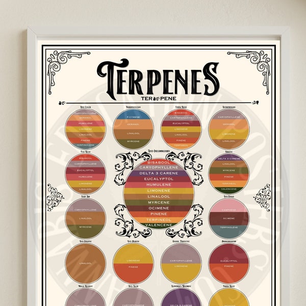 18 X 24 inch Terpenes Cannabis Education Poster
