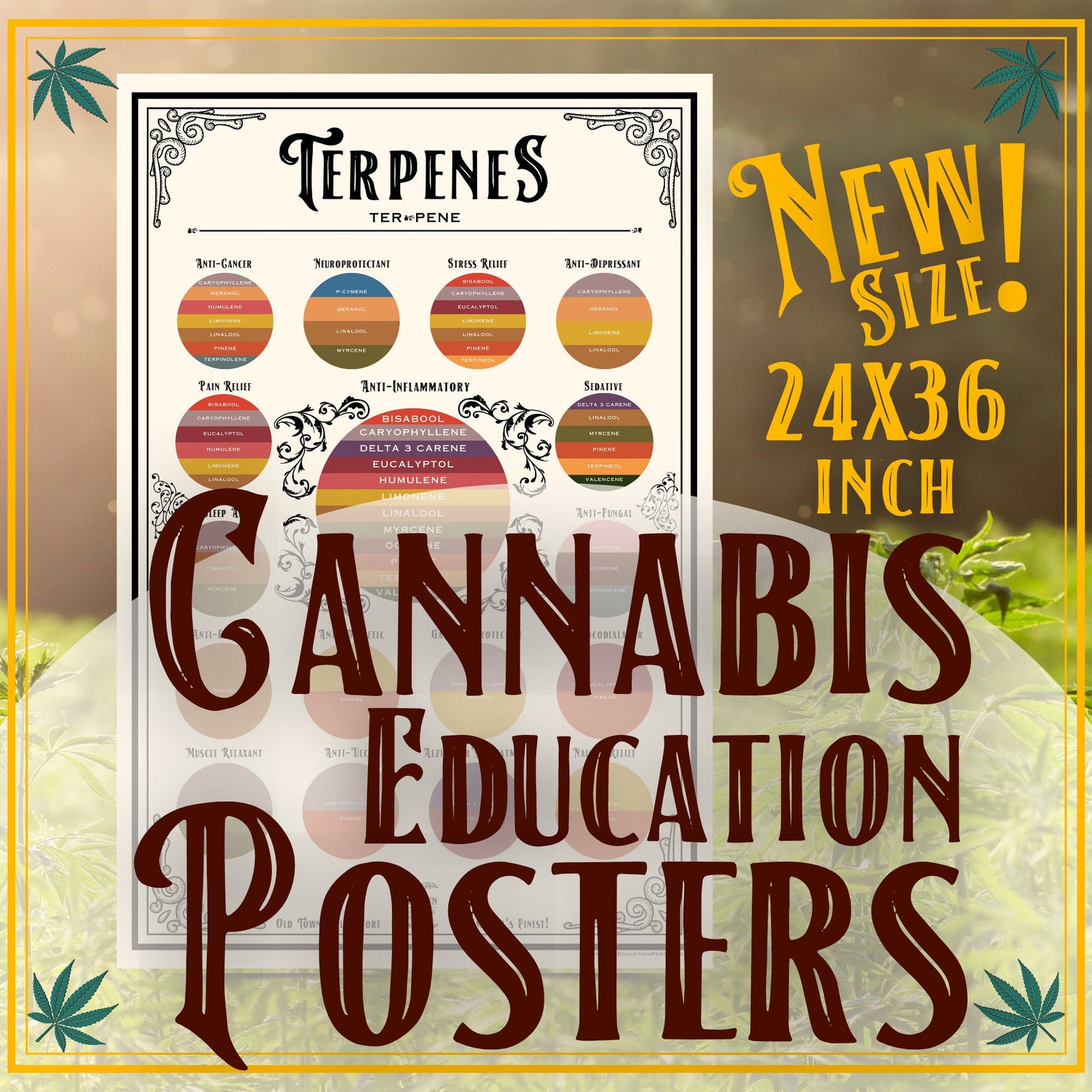 24 X 36 Inch Terpenes Cannabis Education Poster Etsy UK