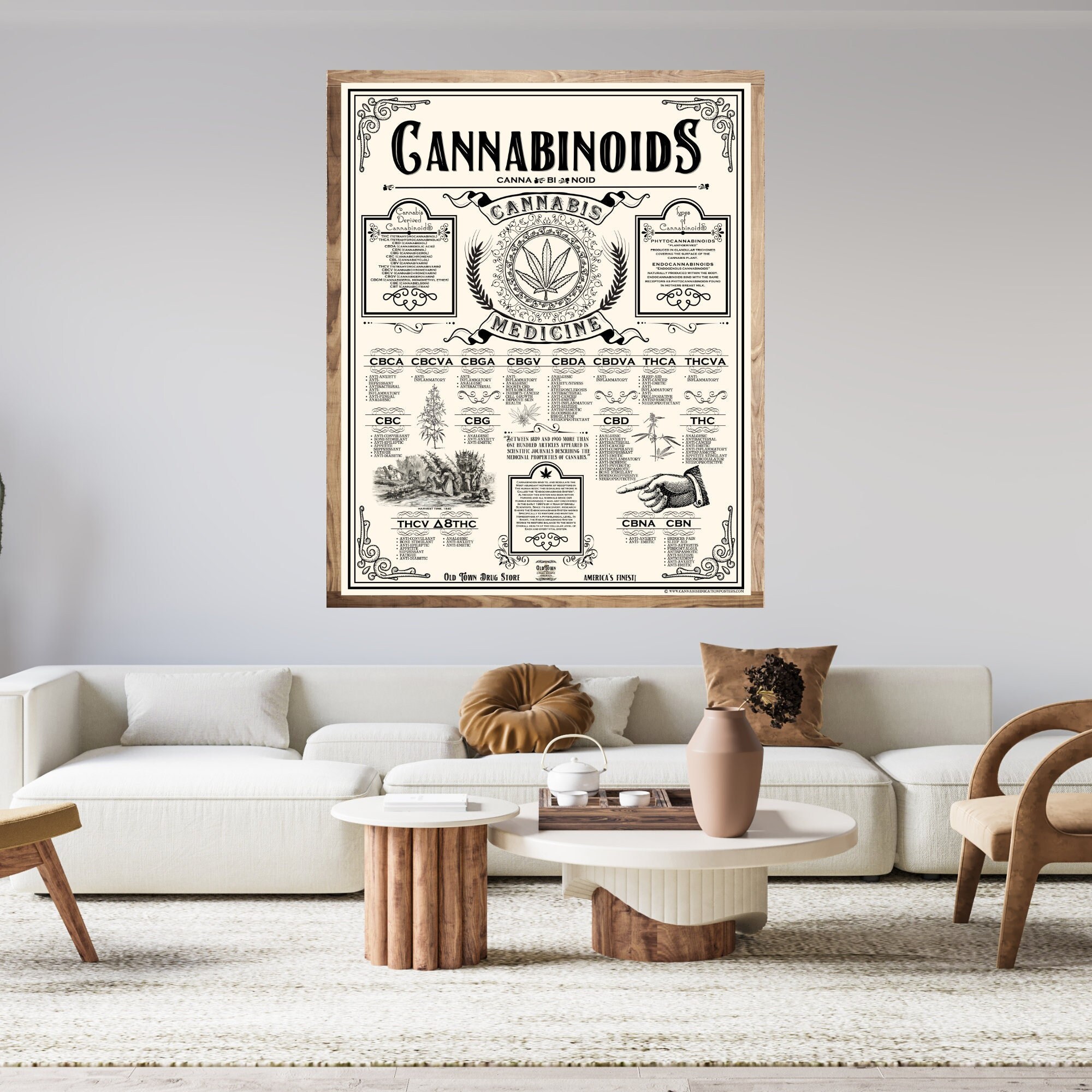48 X 60 Inch Cannabinoids Cannabis Education Poster - Etsy