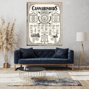 18 X 24 Inch Cannabinoids Cannabis Education Poster - Etsy