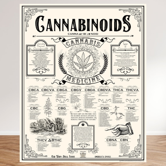 48 X 60 Inch Cannabinoids Cannabis Education Poster - Etsy