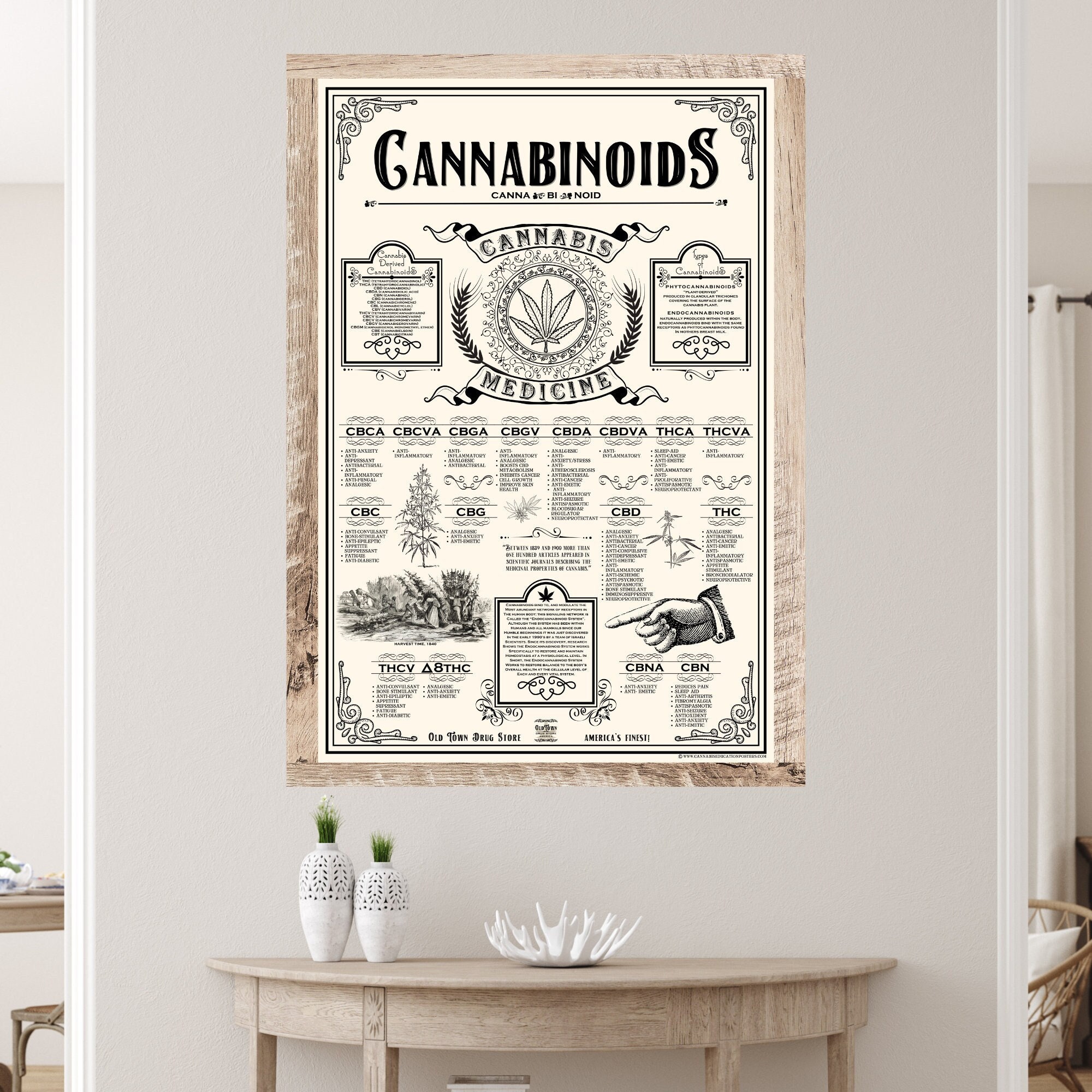 24 X 36 Inch Cannabinoids Cannabis Education Poster - Etsy