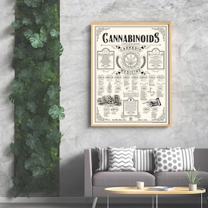 18 X 24 Inch Cannabinoids Cannabis Education Poster - Etsy
