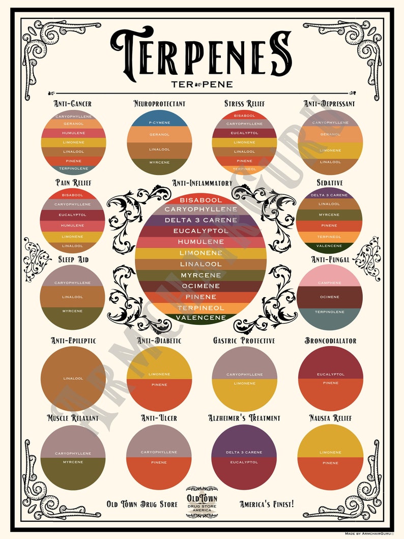 Victorian Era Terpenes Infographic Poster | Etsy