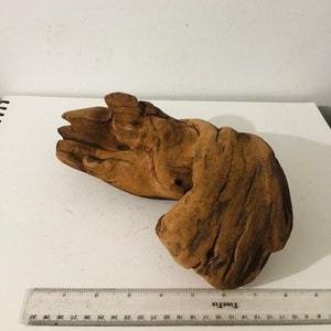 Madera flotante mediana (1 PIEZA) BOGWOOD (8-12 pulgadas) - pecera raíz acuario vivo plantas agua dulce madera flotante aquascaping madera flotante sólida