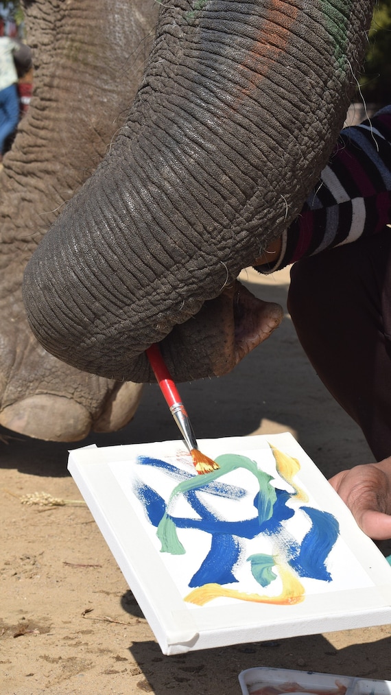 What is Used for Holding Canvas to Paint: Essential Tools Explained