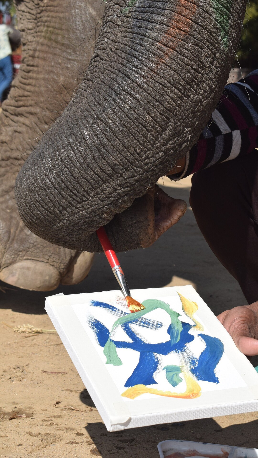 Elephant Paintings Made by Pushpa the Elephant on 8X10 Canvas,abstract