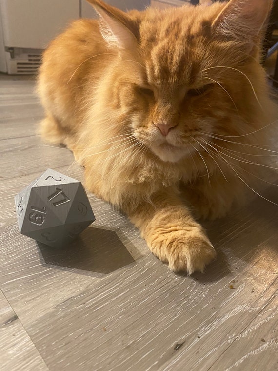 3D Printed D20 Cat Treat Dispenser Toy 