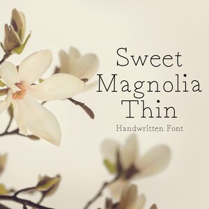 May include: A close-up of white magnolia blossoms with a blurred background. The text "Sweet Magnolia Thin Handwritten Font" is displayed in black.
