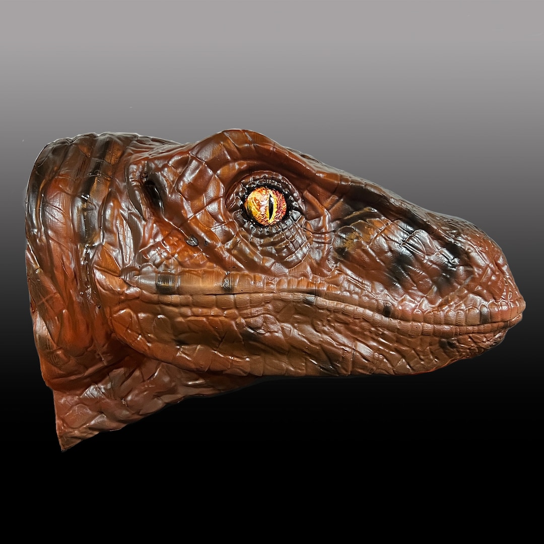 Decorative Raptor Taxidermy Style Raptor Head Wall Art - Etsy